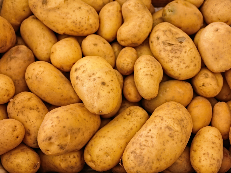 descubrimiento de las patatas